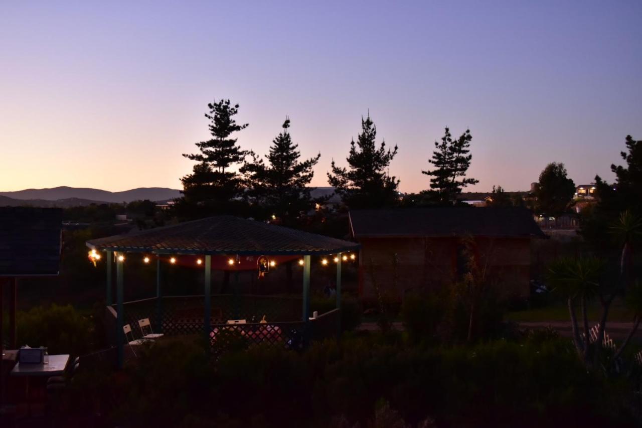 Bajo El Sol Del Valle Valle de Guadalupe Kültér fotó